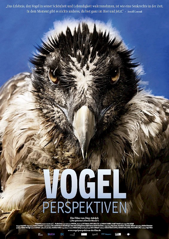VOGELPERSPEKTIVEN