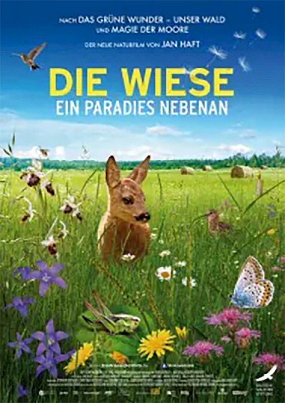 Die Wiese - Ein Paradies Nebenan